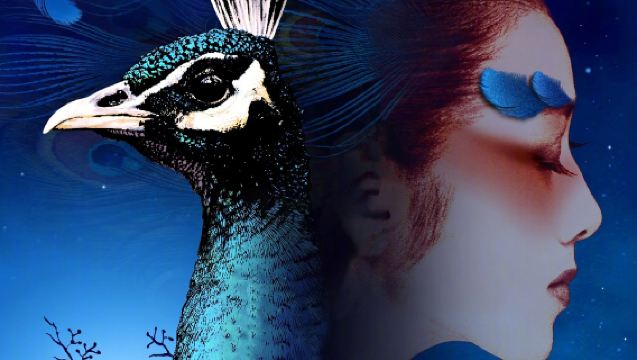 Excursión de un día al Condado autónomo yi de Shilin + la calle antigua de Kunming + el espectáculo "Impresiones de Yunnan": incluye entrada + almuerzo + guía