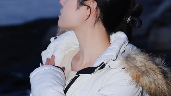 Desde Tromsø: Excursión de un día a Senja (en chino)