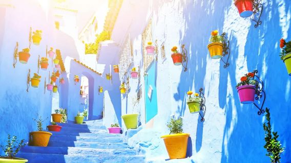 摩洛哥全境|商務考察翻譯|展會翻譯|旅遊陪同|醫學翻譯|名校導覽|中文／英文|如需其他語言（請諮詢客戶服務支援）