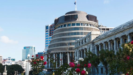 Wellington Half-day Tour to Classic Attractions (Small Group Experience with Chinese-speaking Guide)