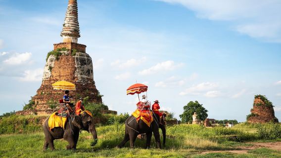 タイ・バンコク｜三大寺院＆王宮観光＋アユタヤ世界遺産＋象乗り体験＜日本語ガイド付き・1日・昼食付＞