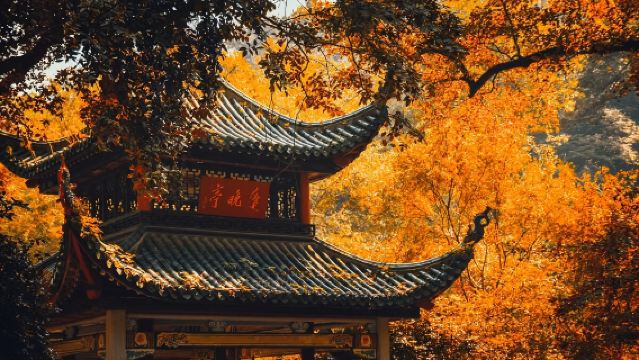 長沙橘子洲+嶽麓山愛晚亭+長沙簡牘博物館一日旅行團