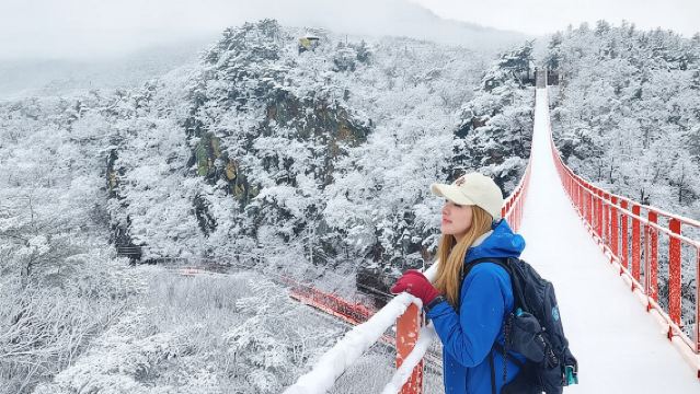 Visite Exclusive de la Zone DMZ : 3ème Tunnel, Rencontre avec un Défector Nord-Coréen et Pont Suspendu
