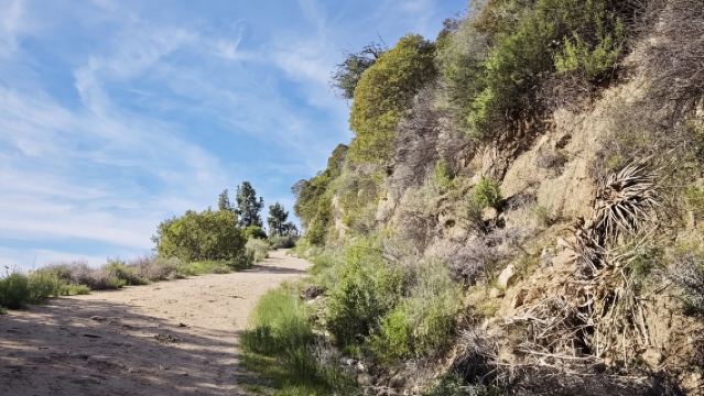 美國洛杉磯格里菲斯公園+加州迪士尼樂【中文專車包車出行】