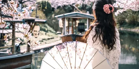 【櫻花季】日本伏見十石舟+背割堤+仁和寺御室櫻一日遊