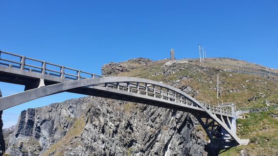 コーク発：ウェストコークからミゼンヘッドまでのガイド付き日帰りツアー