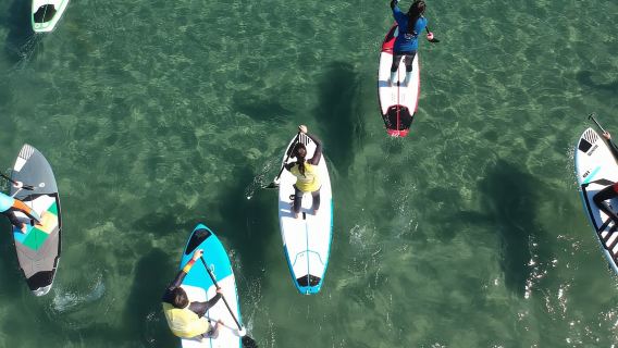 Valencia: Malvarrosa Beach Standup Paddleboard Rental
