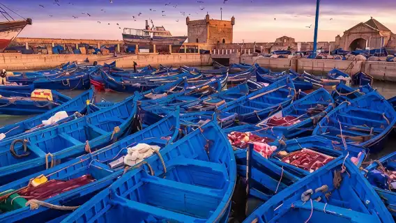 Private Transfer: Marrakech to Essaouira (Door-to-Door)