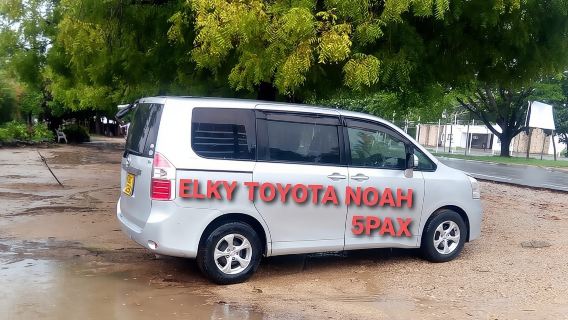 Elkydianibeachtaxis 