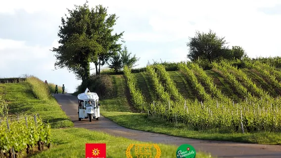 Tour panoramico e degustazione dei vigneti di Ginevra in un Tuk Tuk