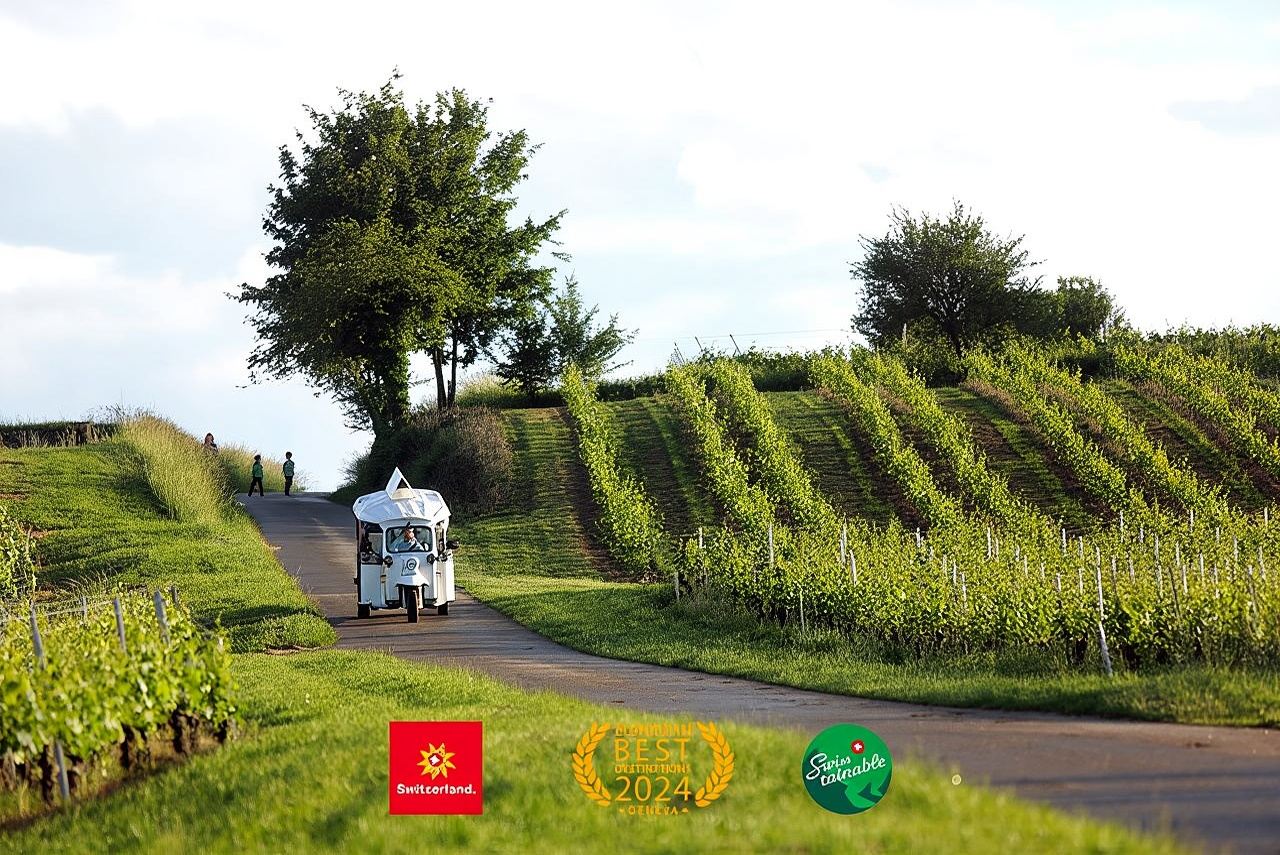 Geneva Panoramic & Tasting Vineyards Tour in an Tuk Tuk