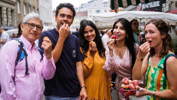 Authentic Vienna Food Tour inc. lunch, street food, 3 drinks