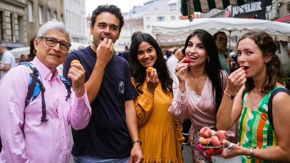 Authentic Vienna Food Tour inc. lunch, street food, 3 drinks