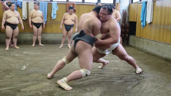 Tokyo Sumo Morning Practice in Ryogoku + Photo Shoot w/ Wrestlers
