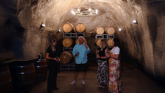 Queenstown Classic Wine Tour: 3 Winery Visits, Cave Tour & Cheese