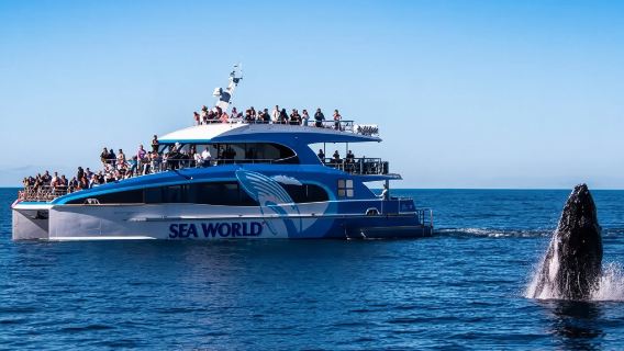 SydneyBoat Experiences