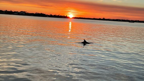 Abenteuer-Bootstouren – Sonnenuntergangs-Wassertour in St. Augustine