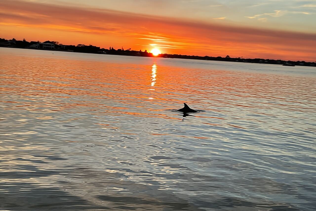 Adventure Boat Tours - Sunset Water Tour in St. Augustine
