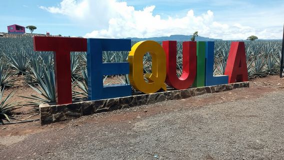 Private Tequila Tour in Guadalajara