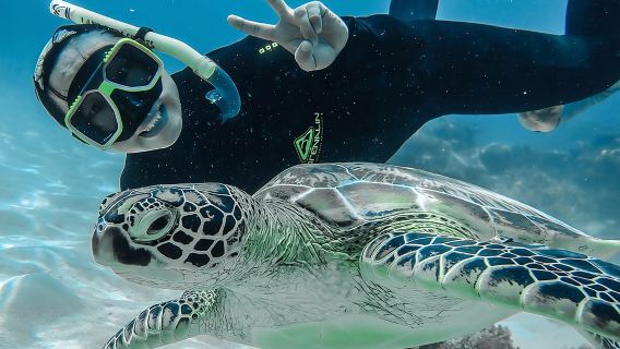 Ganztagesausflug nach Green Island ab Cairns inklusive Transfers