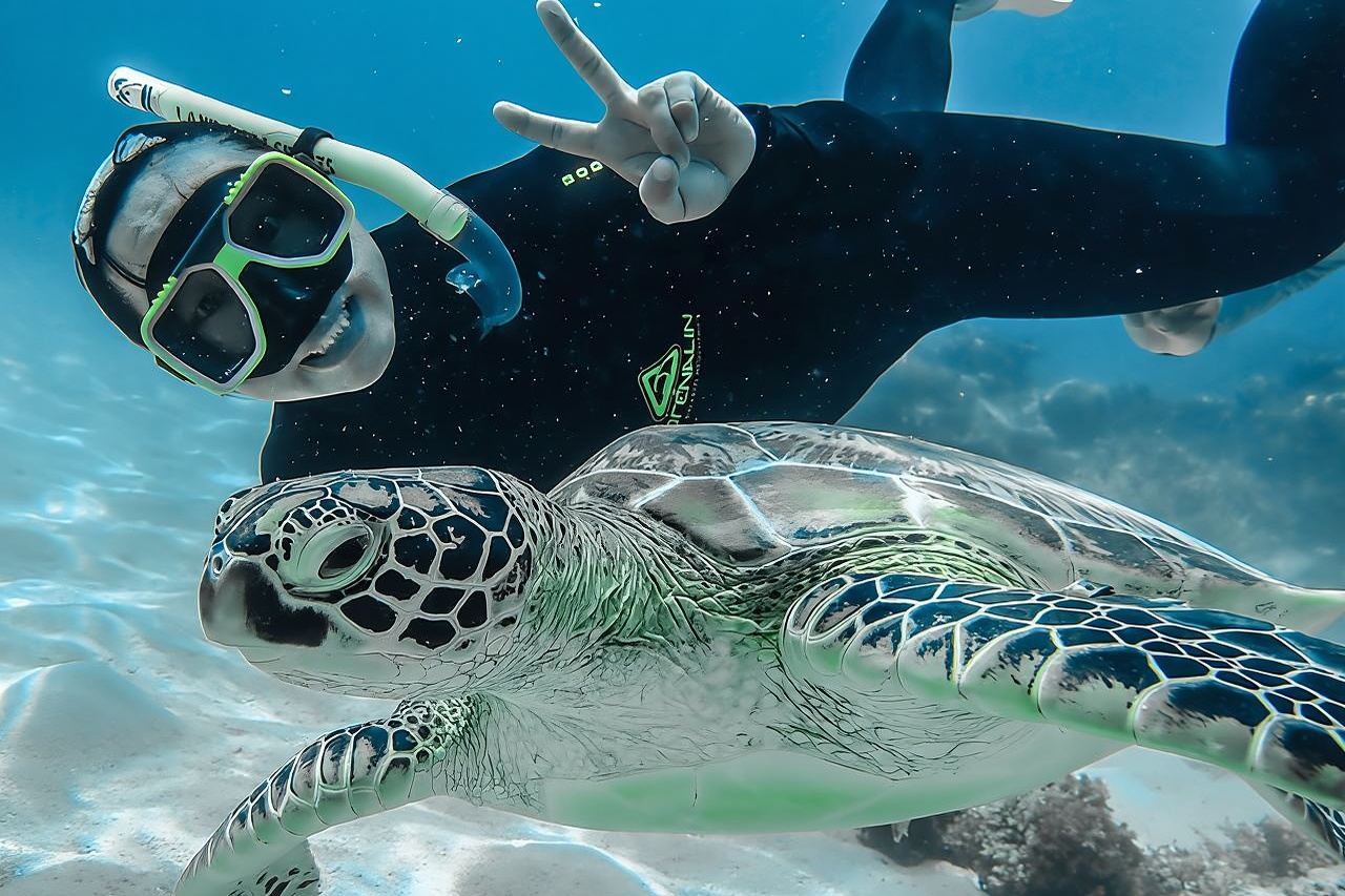 ทริปเต็มวันเกาะกรีนไอส์แลนด์จากแคนส์พร้อมบริการรับส่งในเมือง