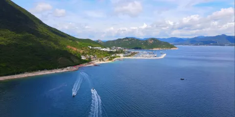 深圳導遊/翻譯/商務陪同|英文/俄語/法語/小語種全覆蓋
