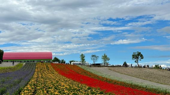 日本北海道富田農場+青池一日遊/行程可調-可訂製多日遊