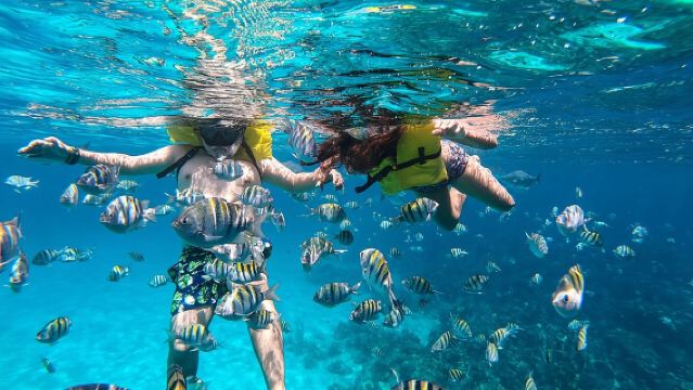 Boat and Snorkeling in West End (Blue Channel, The Aquarium, Turtle Crossing)