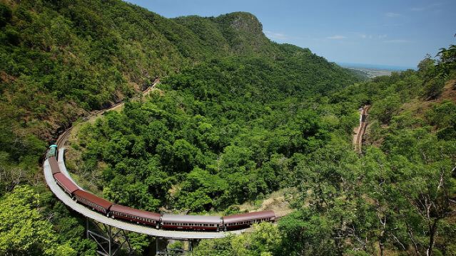 Escursione giornaliera in teleferica Skyrail Rainforest da Cairns