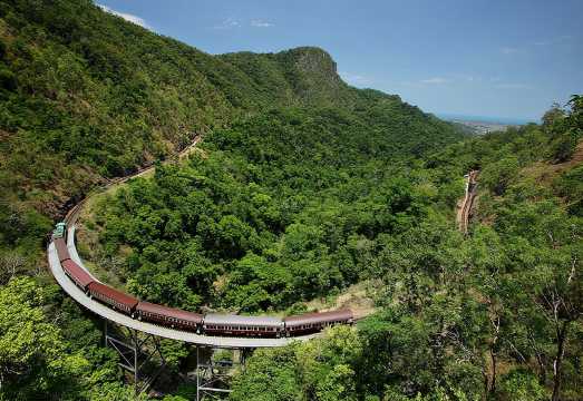 Skyrail Rainforest Cableway Day Trip from Cairns AUD 214.28