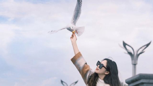 Lawatan sehari Shilin + Tasik Dian dengan sewaan peribadi: Termasuk tiket masuk + melihat burung camar + pengangkutan dalam lingkungan tiga bulatan + aktiviti santai tanpa membeli-belah