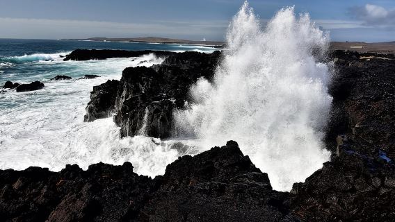 Dari Reykjavik: Tur Geopark Reykjanes & Transfer Bandara