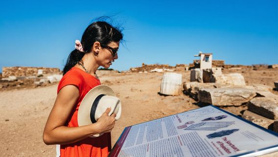 แหลมซูเนียนพร้อมไกด์อย่างเป็นทางการสู่วิหารโพไซดอน