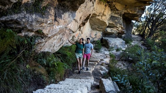 Excursion animalière au coucher du soleil dans les Blue Mountains, cascades et faune sauvage au départ de Sydney