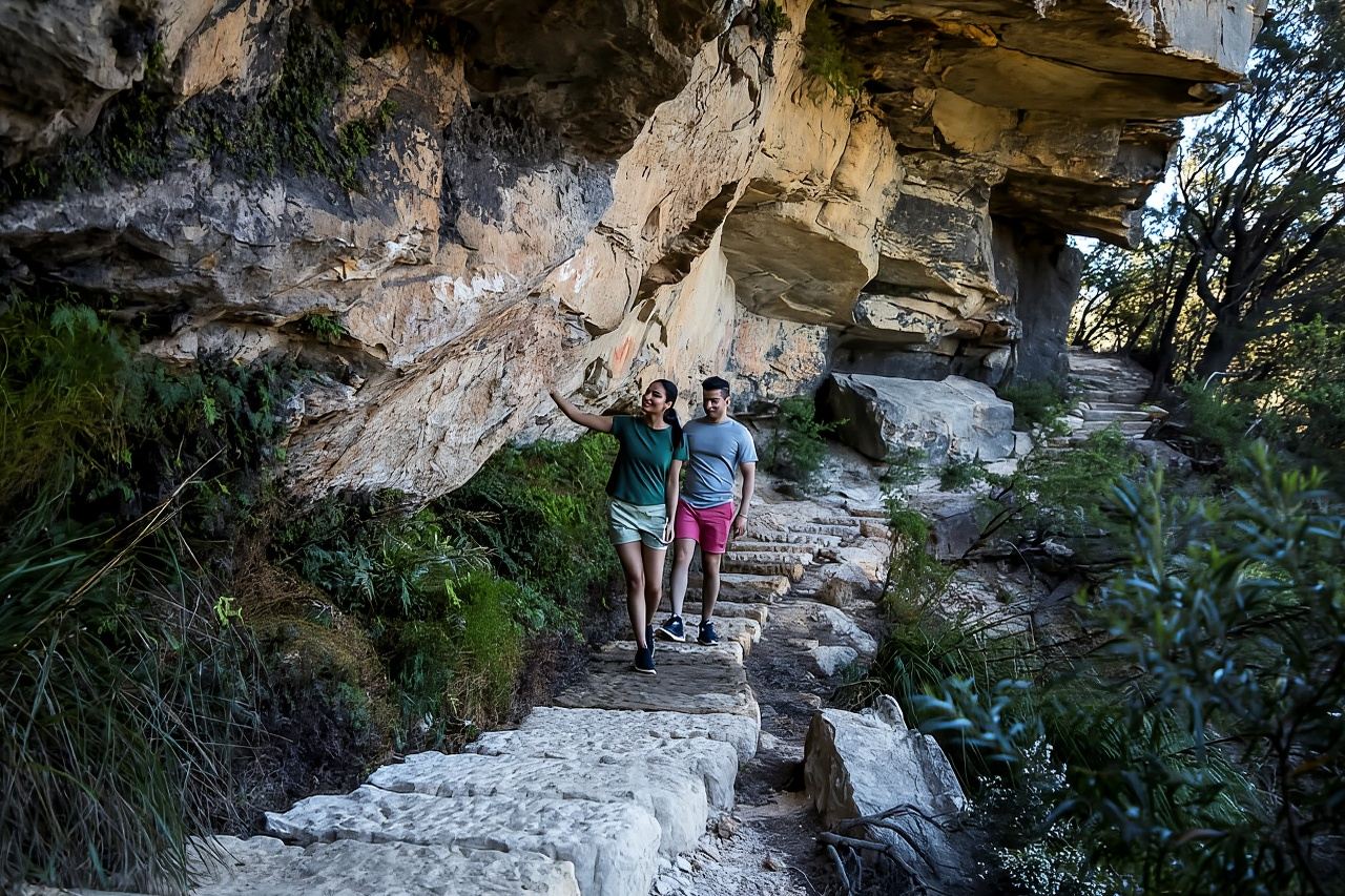 Tour naturalistico delle Blue Mountains al tramonto, cascate e fauna selvatica da Sydney