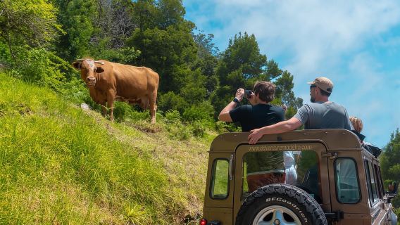 Madeira: Skywalk, Porto Moniz, Seixal, and Fanal 4WD Tour