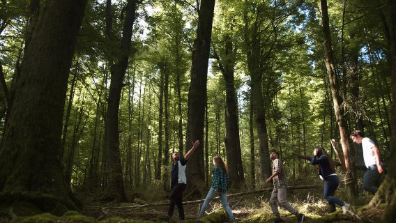 From Queenstown: Lord Of The Rings Tour to Glenorchy