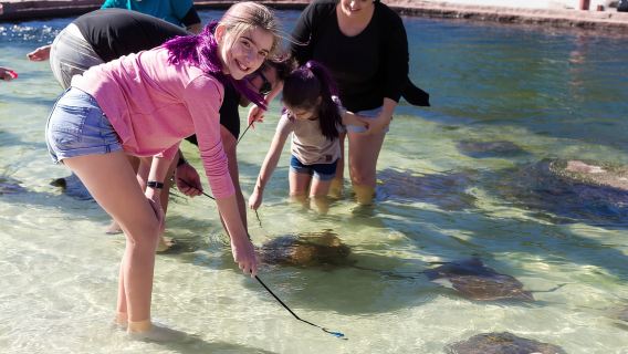 Anna Bay: Irukandji Entry Pass with Shallows Encounter