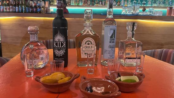 Kota Meksiko: Tur Museum Tequila dan Mezcal dengan Mencicipi