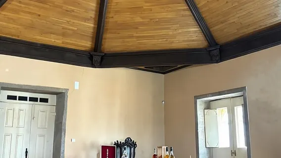 Oporto: Recorrido por el valle del Duero con 2 bodegas, almuerzo y crucero