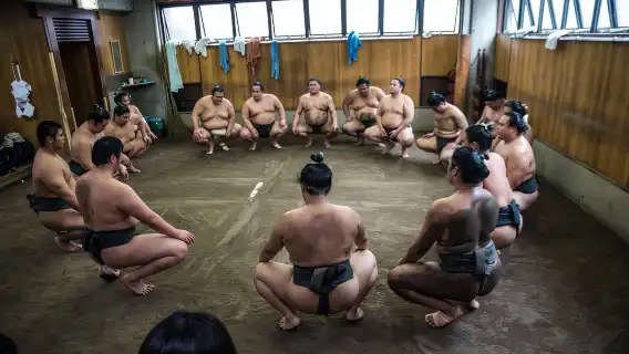 東京:相撲晨練觀看之旅
