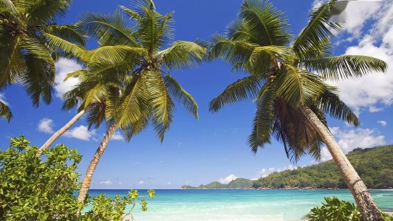 法國尼斯+戛納+昂蒂布+全區域任選｜中文司導【全境可定制】