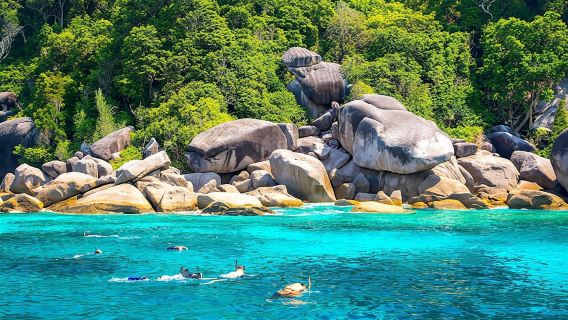 Snorkelling adventure at Koh Nanyuan and Koh Tao from Koh Phangan