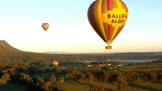 Vol en montgolfière dans la vallée des Hunter à Sydney [60 minutes/admirez le lever du soleil depuis les airs/petit-déjeuner délicieux/champagne de célébration]