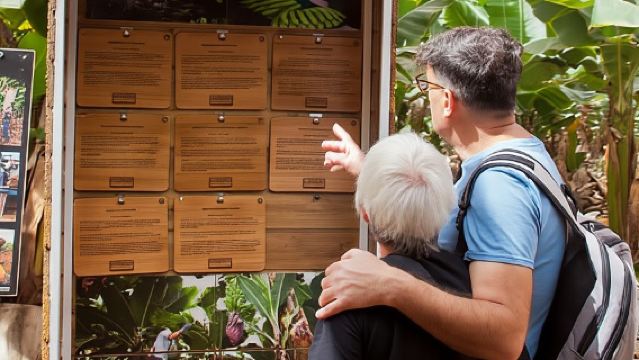 Tenerife: Finca Las Margaritas Banana Plantation Experience