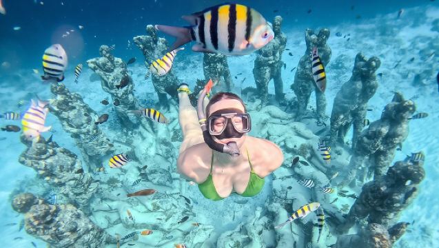 Private Snorkeling Gili Island Including GoPro Camera