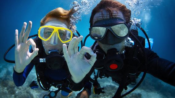Discover PADI Diving in Barcelona