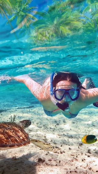 Sabah Mantanani Island Day Trip [Limited-Time Special Offer | New Resort | Optional Diving/Mangrove Retreat]