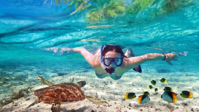 Sabah Mantanani Island Day Trip [Limited-Time Special Offer | New Resort | Optional Diving/Mangrove Retreat]
