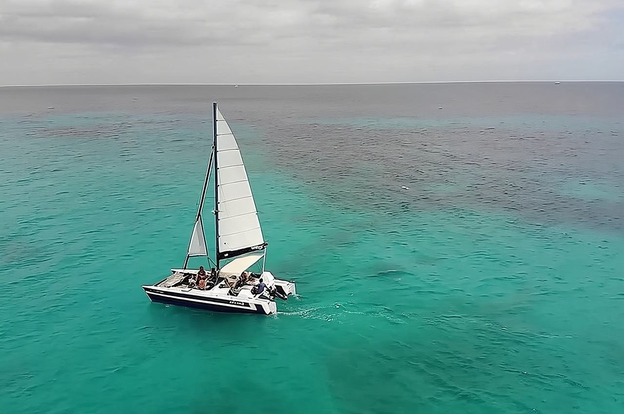 Barbados Catamaran Snorkel Cruise with Lunch and Open Bar